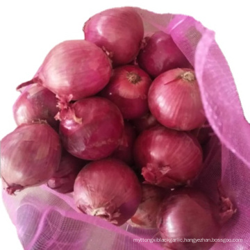 Chinese New season red onion 5-7cm / China fresh onion import export